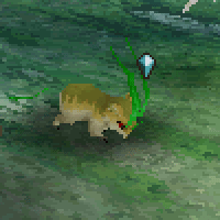 File:Grass Squirrel.png