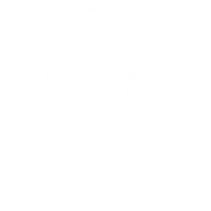 Hand icon.png