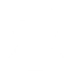 Orb icon.png
