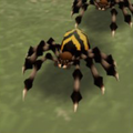 Arachnvore.png