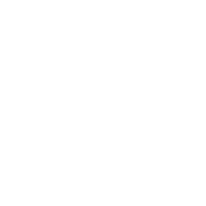 Chest icon.webp