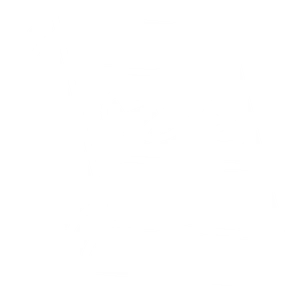 Book icon.png