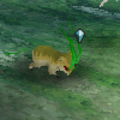 Grass Squirrel.png