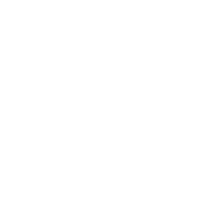 Paint icon.png
