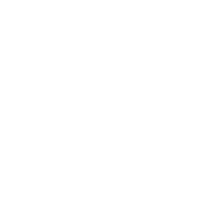 Body icon.svg