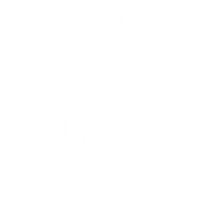 NPC icon.png